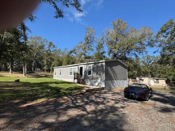 OCALA FOREST CAMPSITES 04