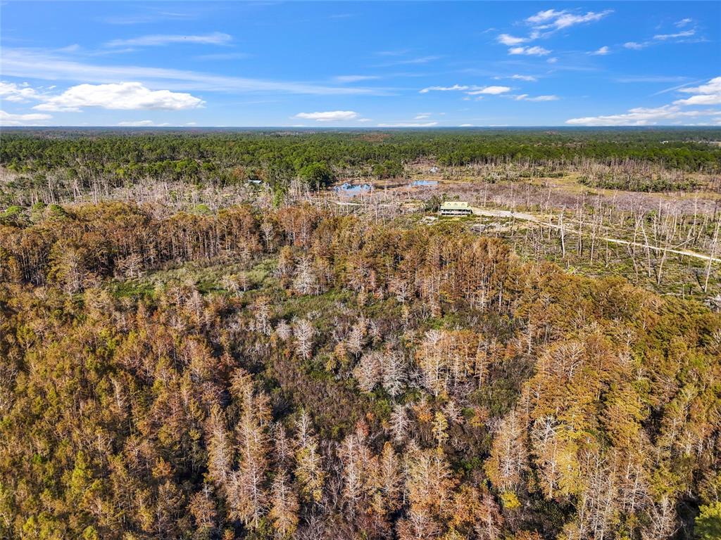 CEDAR KEY HEIGHTS - фото