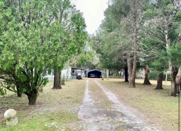 CITRONELLE TOWNSITE BADGER ACRES
