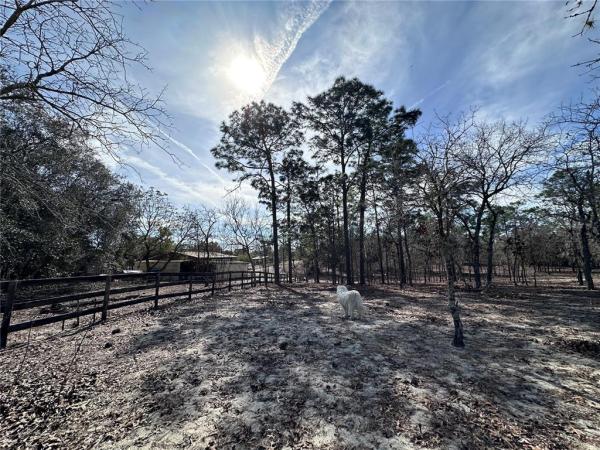 TRIPLE CROWN FARMS UNIT 1