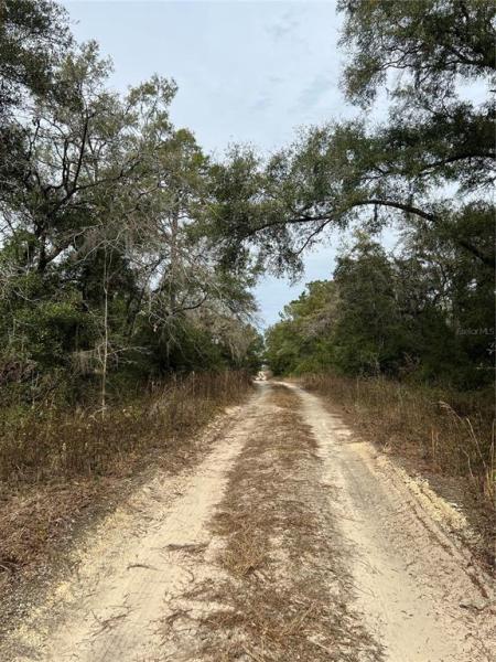 WILLISTON HYLNDS GOLF & C CLUB ESTATE