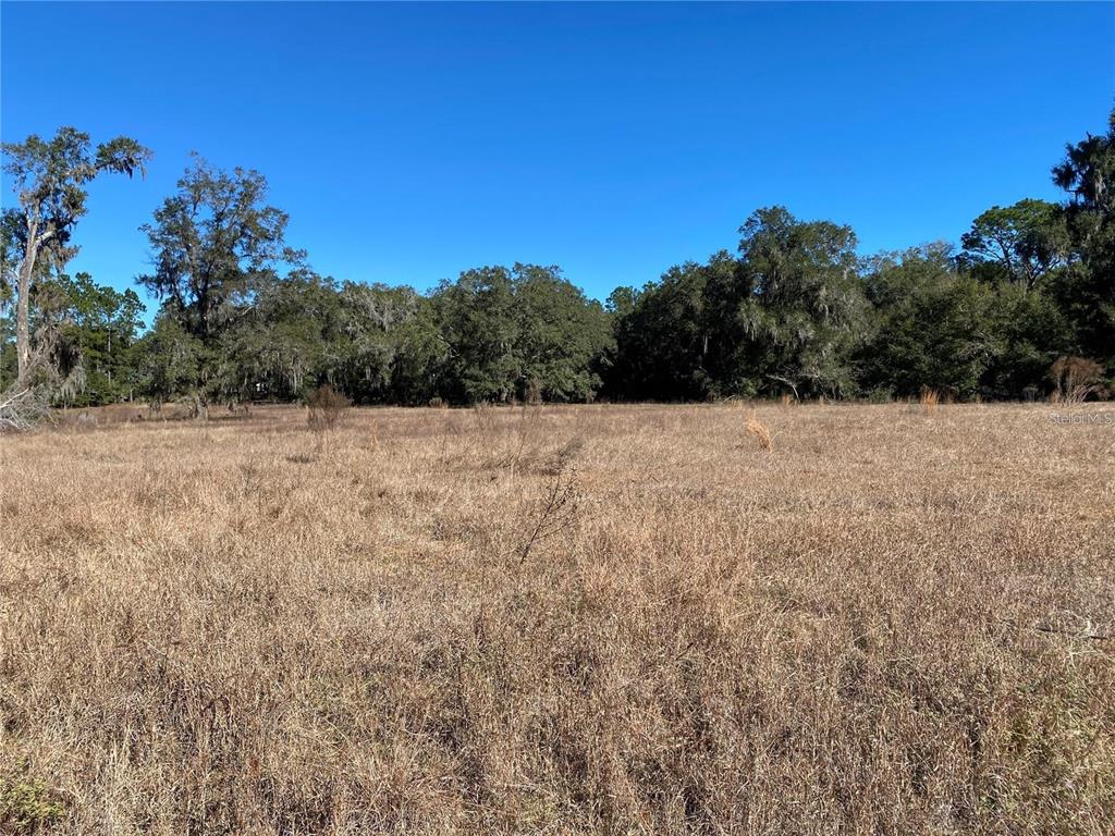 Land - фотография Land - фото