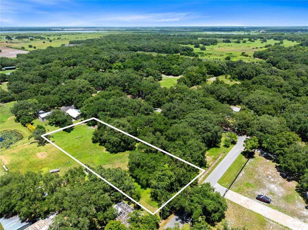 KISSIMMEE PARK - фото