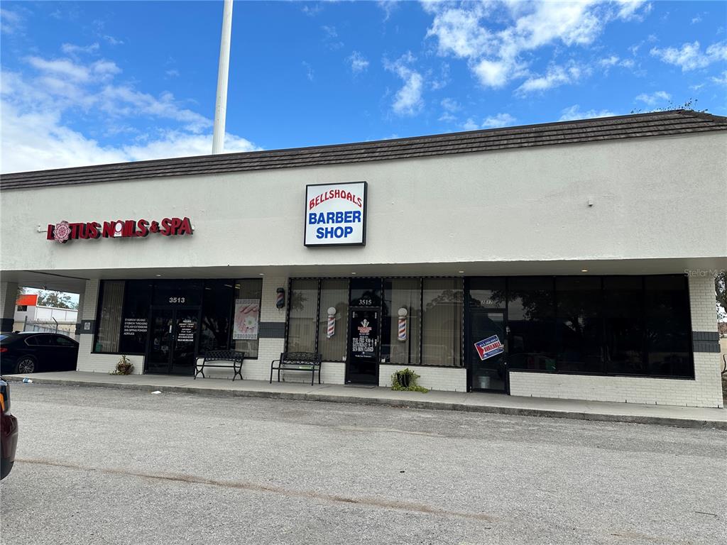 UNPLATTED - фото