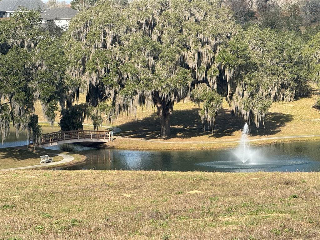 SHENANDOAH - фото