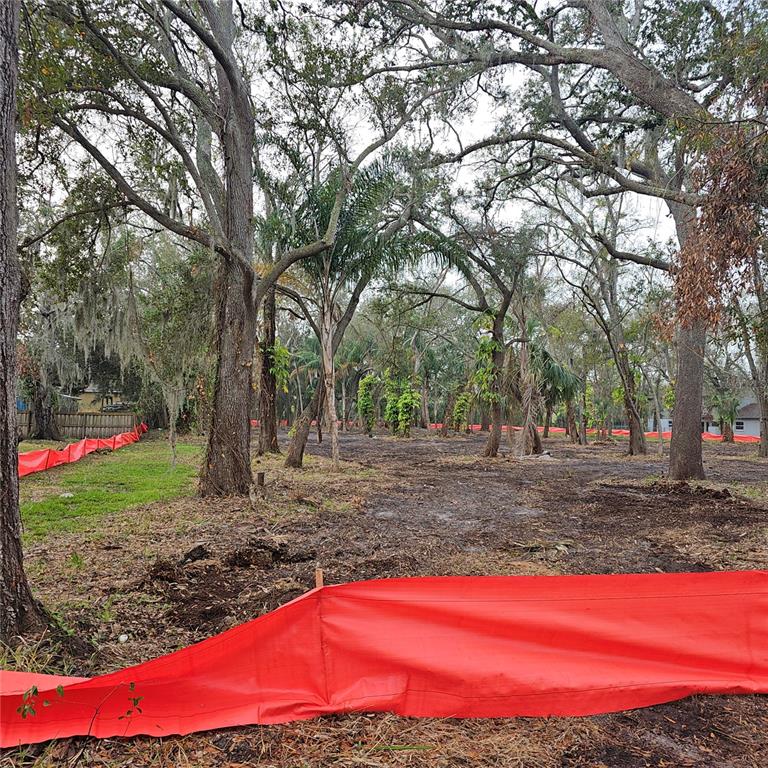 RUSKIN CITY MAP OF - фотография RUSKIN CITY MAP OF - фото