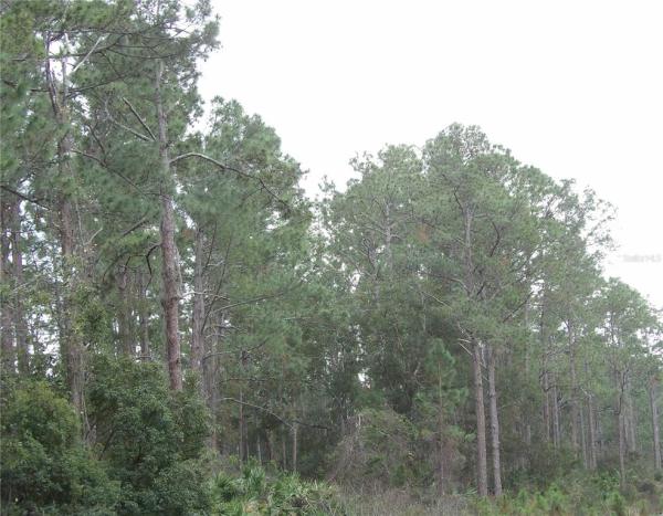 UNIVERSITY HIGHLANDS