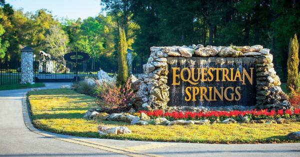 Equestrian Springs