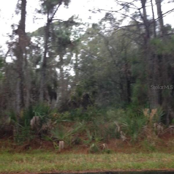 PORT CHARLOTTE SUB 28