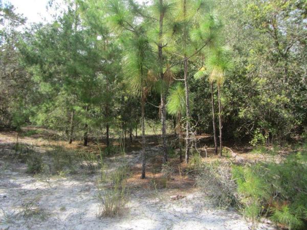 GENEVA TRACT 15-20-32