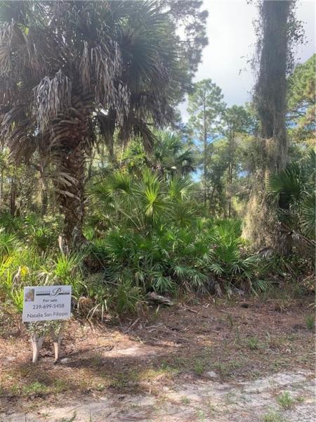 PORT CHARLOTTE SEC 41