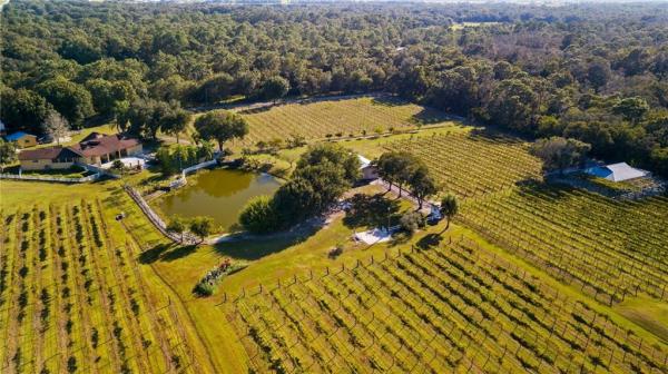 WATERBURY TRACTS CTD