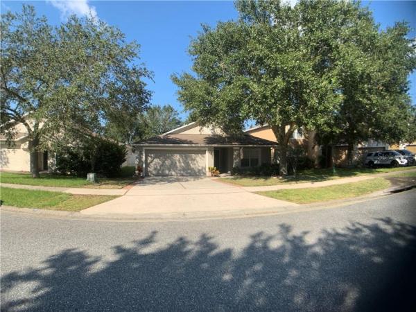 TAVARES MARTINS GROVE