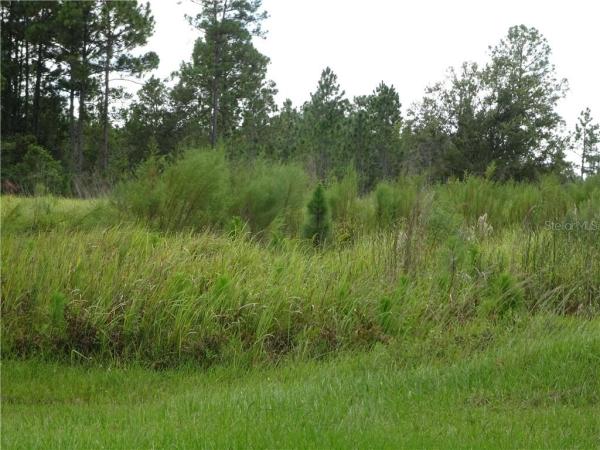 CAPE ORLANDO ESTS UNIT 2A