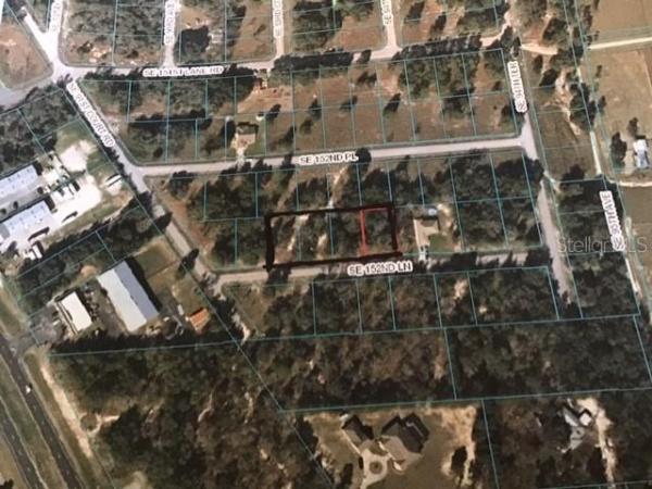 ORANGE BLOSSOM HILLS 13