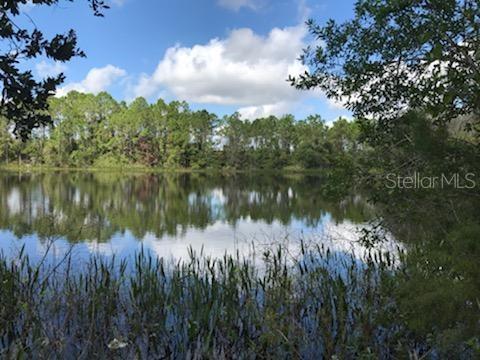 SEMINOLE LAND & INV CO