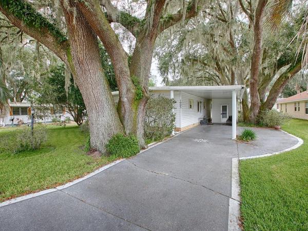 ORANGE BLOSSOM GARDENS