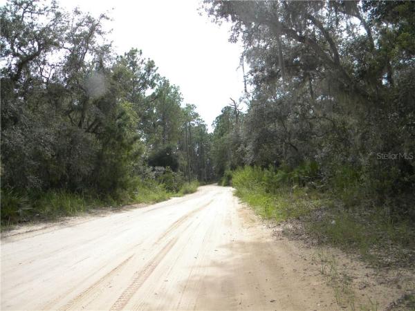 GROVELAND FARMS 36-22-24