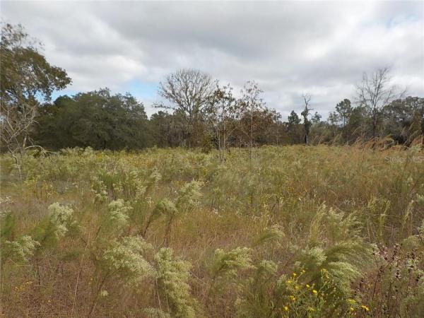 RAINBOW LAKES ESTATE
