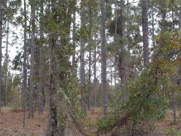 RAINBOW LAKES ESTATES SEC E