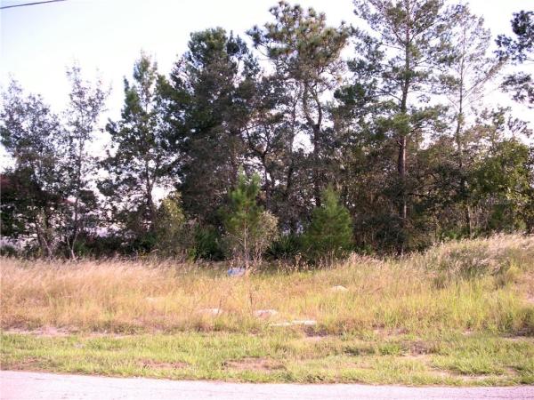 POINCIANA NBRHD 02 VILLAGE 08