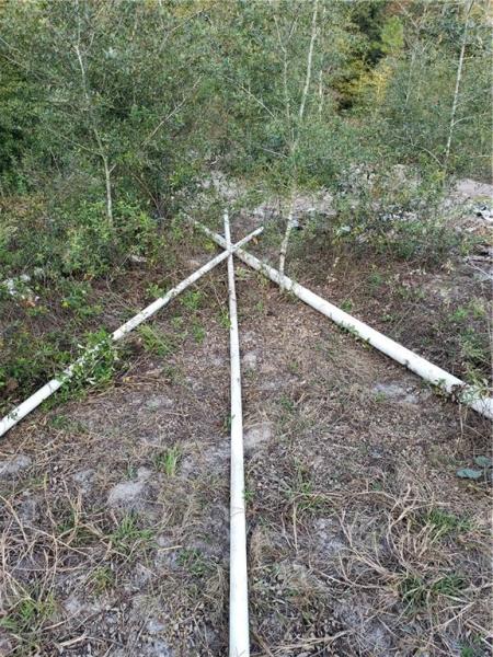 ORANGE BLOSSOM HILLS UN 02