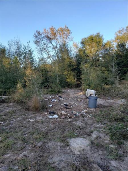 ORANGE BLOSSOM HILLS UN 3