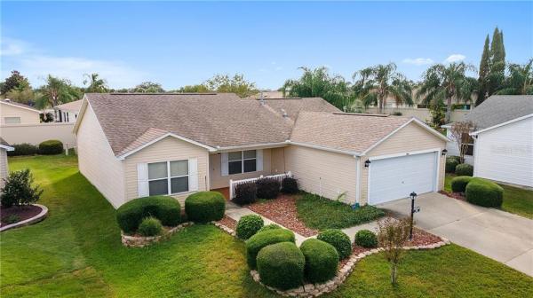 VILLAGE OF TALL TREES