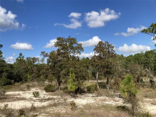 RAINBOW LAKES ESTATE