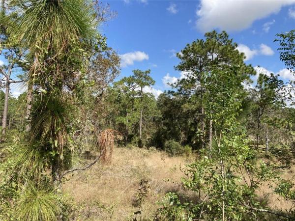 RAINBOW LAKES ESTATES SEC E