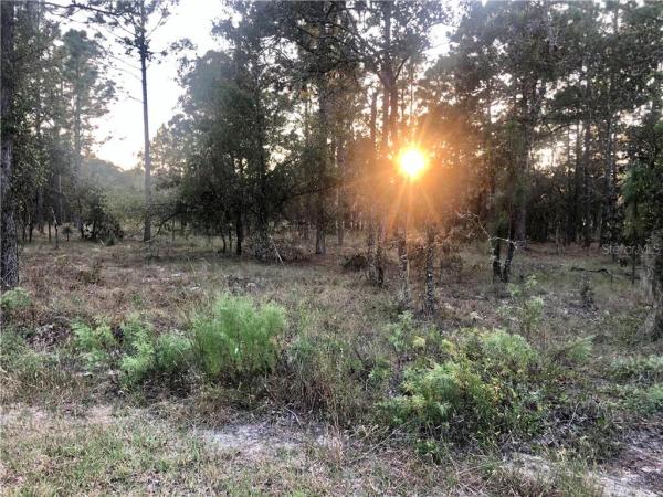 RAINBOW LAKES ESTATES SEC M