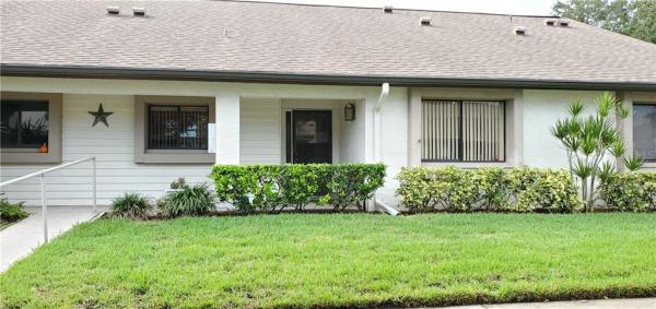 VILLAGE ON THE GREEN