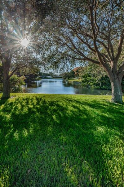 LIVE OAK ESTATES PT REP