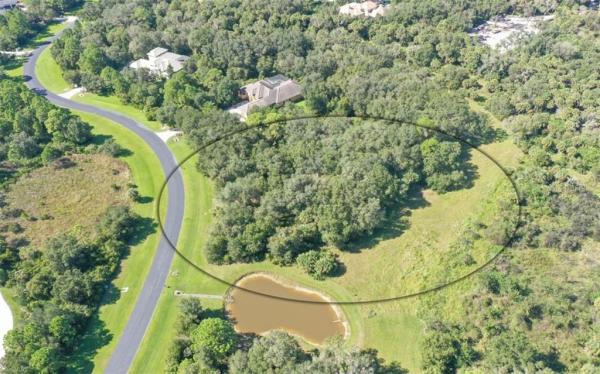 FOREST AT THE HI HAT RANCH