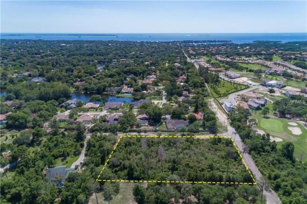 TAMPA & TARPON SPGS LAND CO