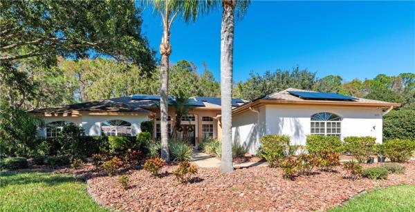 STAG THICKET ESTATES