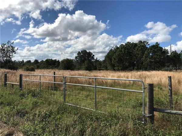 CHARLOTTE RANCHETTES #501 & 50