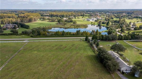 CITRUS GREEN A COMPLETE REP