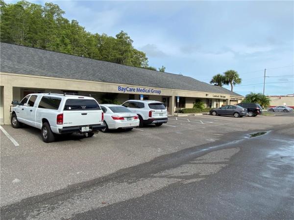 CYPRESSVIEW PROFESSIONAL