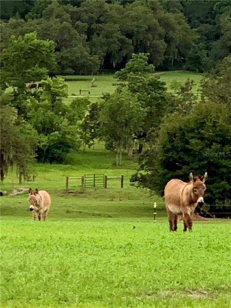 SWEGER PH 1 - CLASS 1 SUB