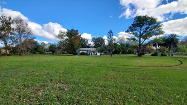 D R MITCHELLS SURVEY OF THE LEVY GRANT