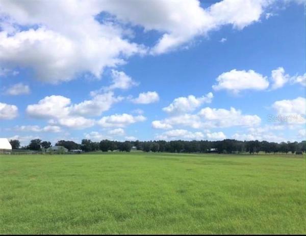 GOLD MEDAL FARMS #10