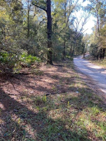 FLORIDA HIGHLANDS, UNRECORDED