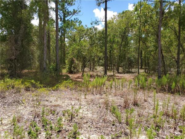 RAINBOW LAKE ESTATES