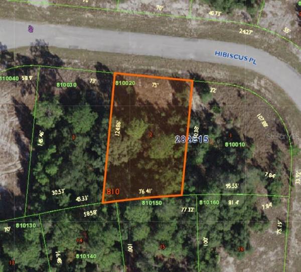 POINCIANA NBRHD 02 VILLAGE 08