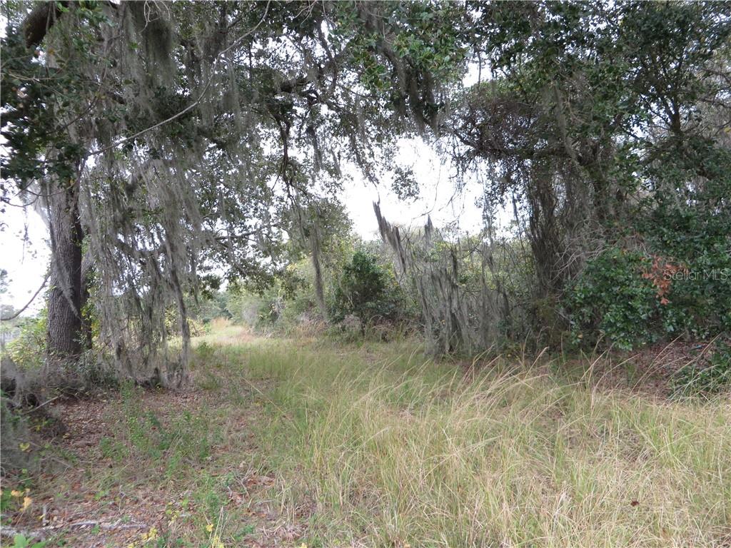 ST CLOUD MANOR ESTATES 01 - фото