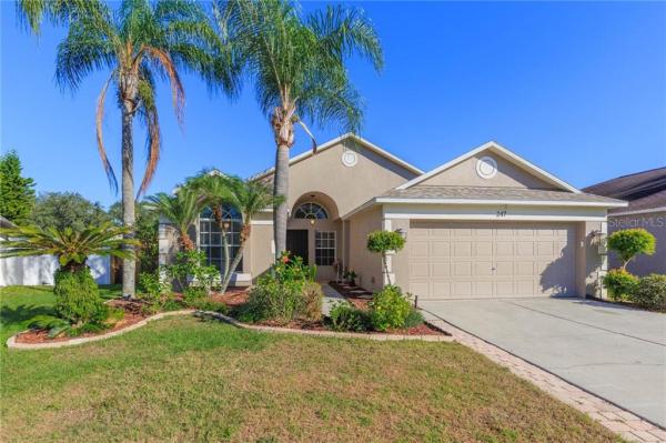 BRANDON BROOK PH VII