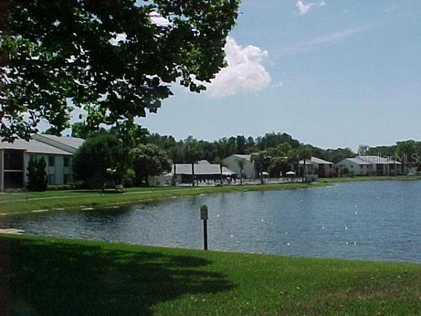 PINE RIDGE AT LAKE TARPON VILLAGE