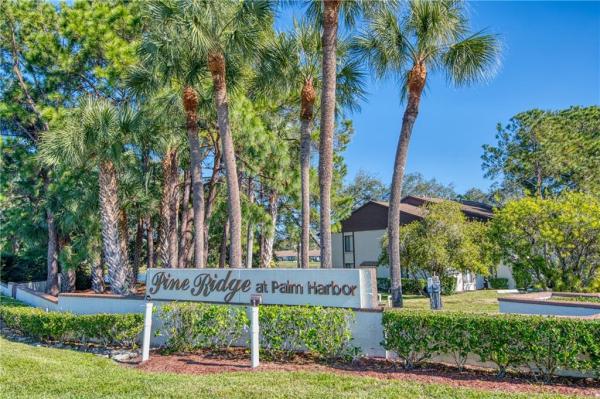 PINE RIDGE AT PALM HARBOR