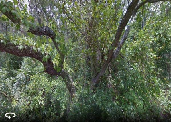 TARPON SPGS OFFICIAL MAP